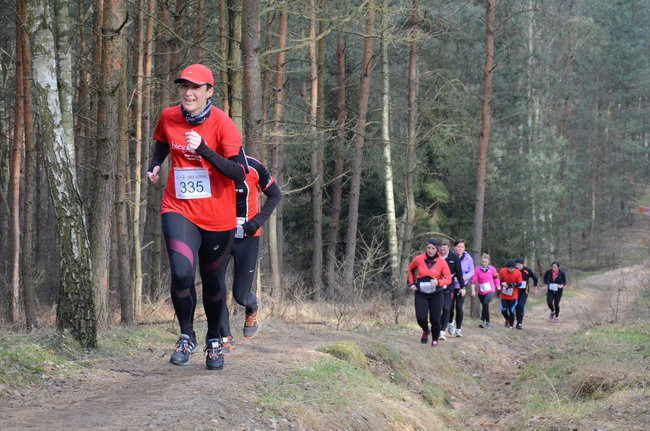 Rekord w grzybowskim lesie (zdjęcia)