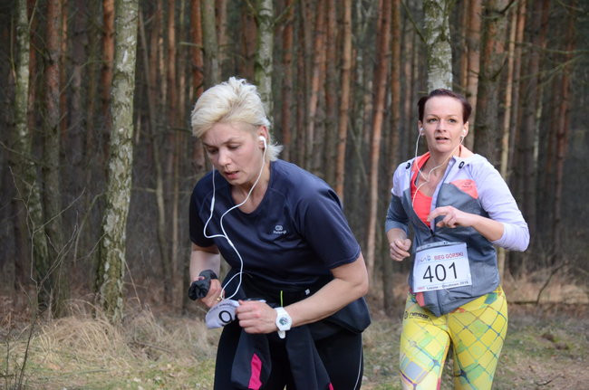 Rekord w grzybowskim lesie (zdjęcia)