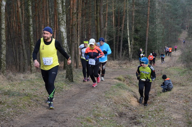 Rekord w grzybowskim lesie (zdjęcia)