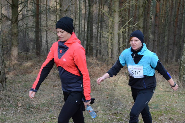 Rekord w grzybowskim lesie (zdjęcia)