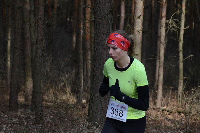 Rekord w grzybowskim lesie (zdjęcia)