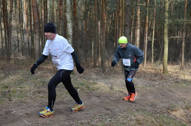 Rekord w grzybowskim lesie (zdjęcia)