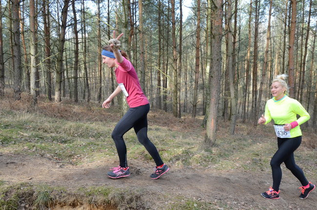 Rekord w grzybowskim lesie (zdjęcia)