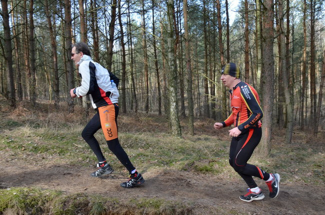 Rekord w grzybowskim lesie (zdjęcia)