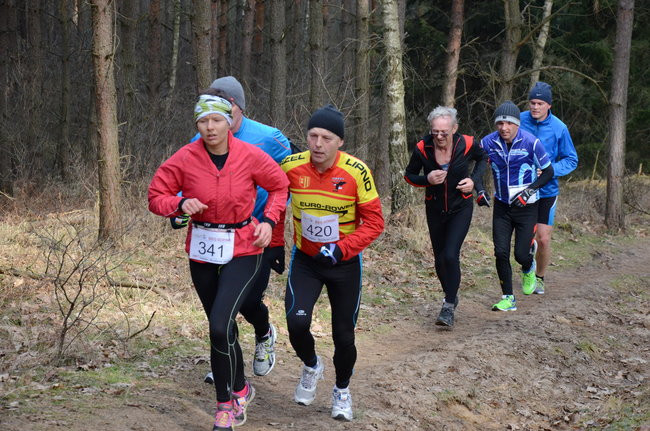 Rekord w grzybowskim lesie (zdjęcia)