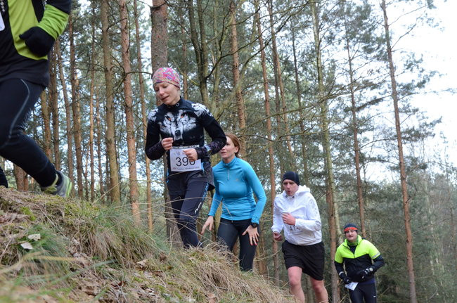 Rekord w grzybowskim lesie (zdjęcia)