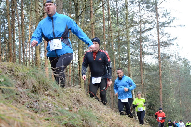 Rekord w grzybowskim lesie (zdjęcia)