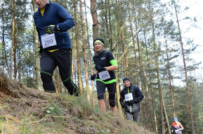 Rekord w grzybowskim lesie (zdjęcia)