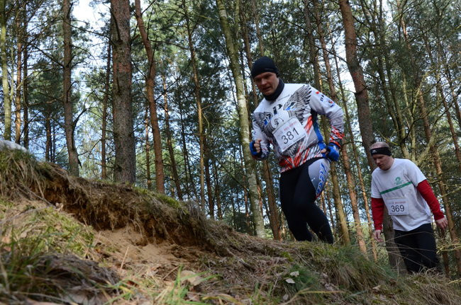 Rekord w grzybowskim lesie (zdjęcia)