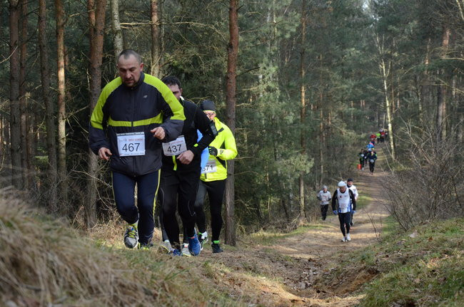 Rekord w grzybowskim lesie (zdjęcia)