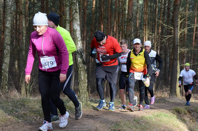 Rekord w grzybowskim lesie (zdjęcia)