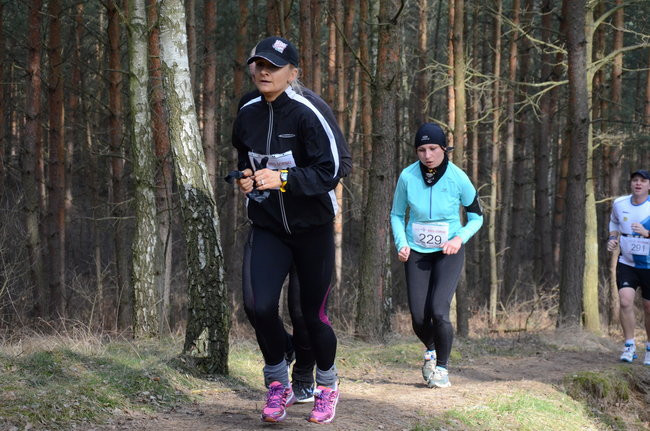 Rekord w grzybowskim lesie (zdjęcia)