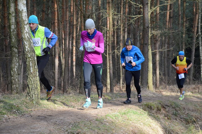 Rekord w grzybowskim lesie (zdjęcia)