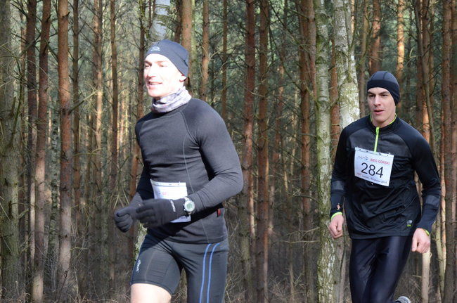 Rekord w grzybowskim lesie (zdjęcia)