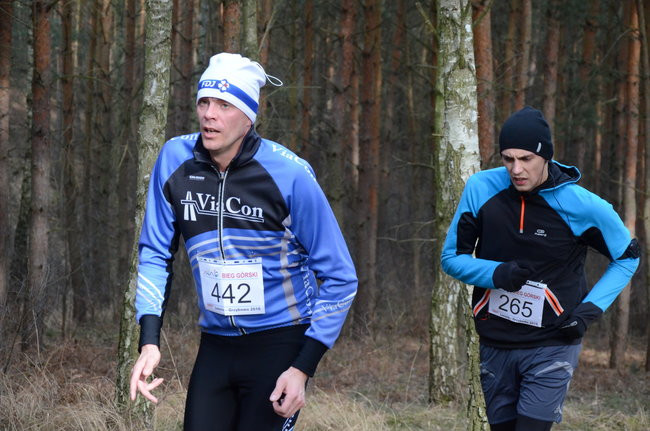 Rekord w grzybowskim lesie (zdjęcia)