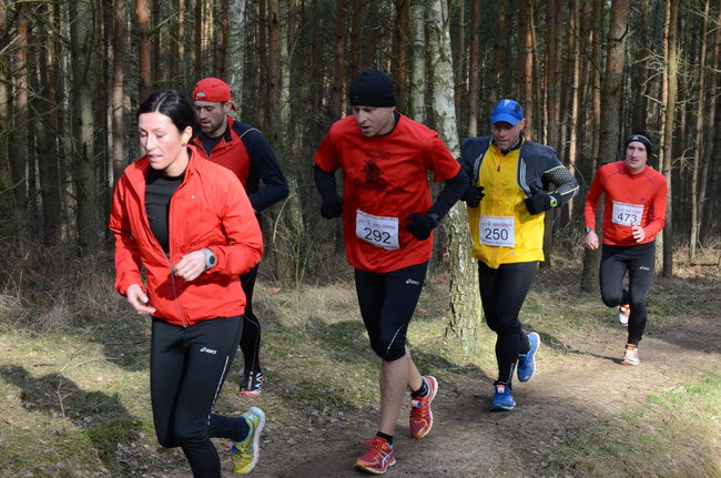 Rekord w grzybowskim lesie (zdjęcia)