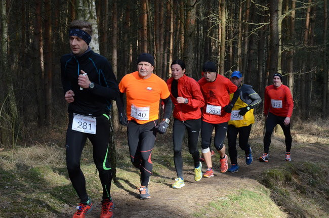 Rekord w grzybowskim lesie (zdjęcia)