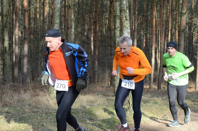 Rekord w grzybowskim lesie (zdjęcia)