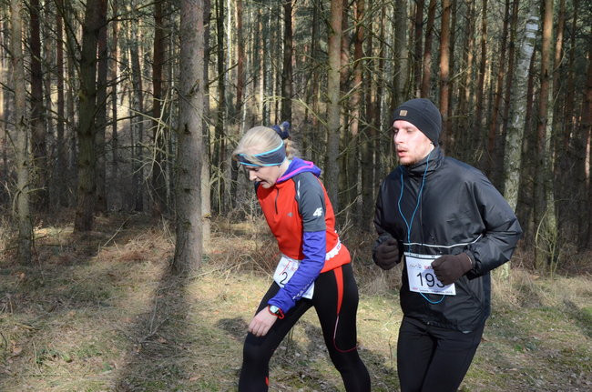 Rekord w grzybowskim lesie (zdjęcia)