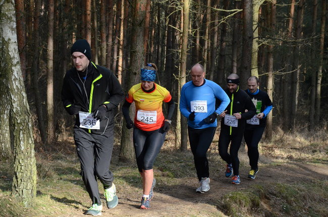 Rekord w grzybowskim lesie (zdjęcia)