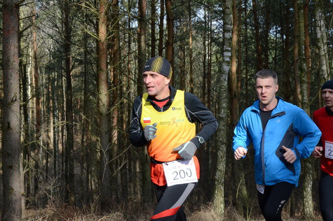 Rekord w grzybowskim lesie (zdjęcia)