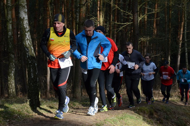 Rekord w grzybowskim lesie (zdjęcia)