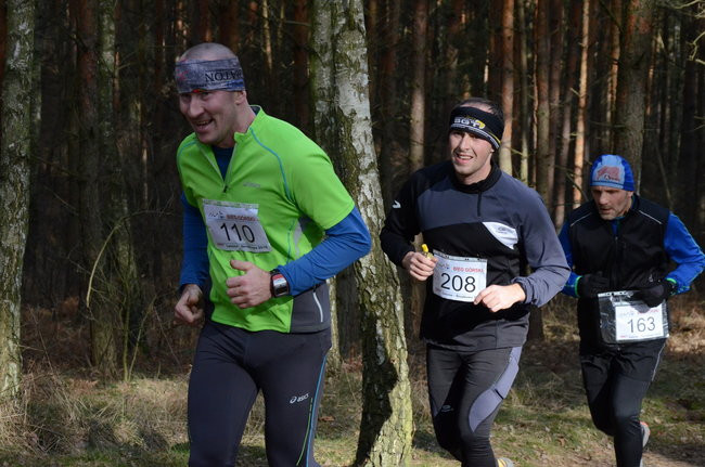 Rekord w grzybowskim lesie (zdjęcia)