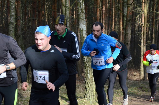 Rekord w grzybowskim lesie (zdjęcia)