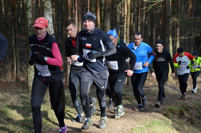 Rekord w grzybowskim lesie (zdjęcia)