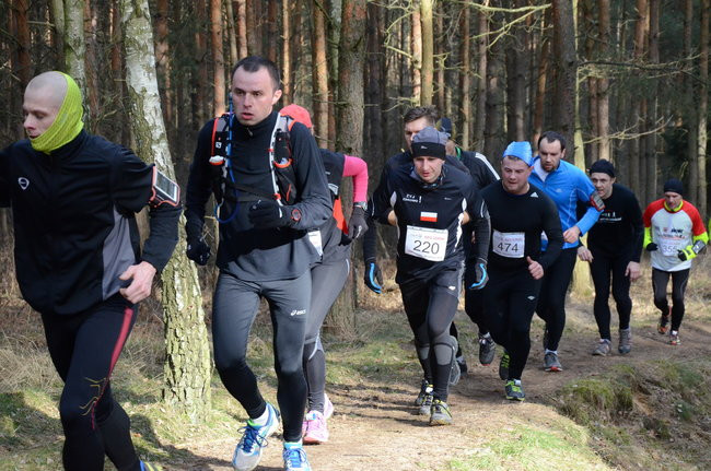 Rekord w grzybowskim lesie (zdjęcia)