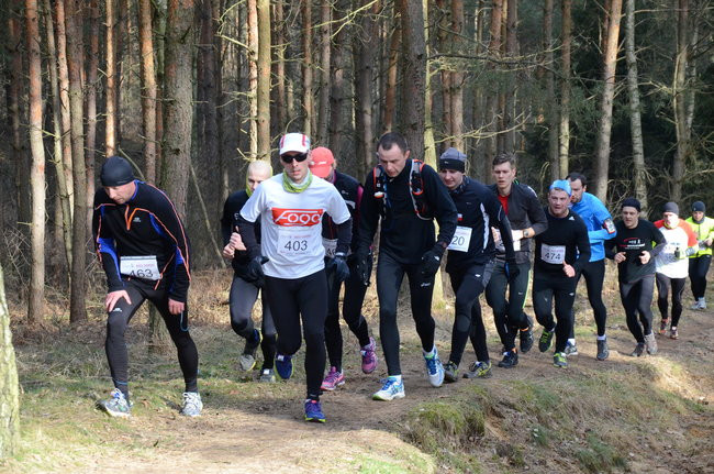 Rekord w grzybowskim lesie (zdjęcia)