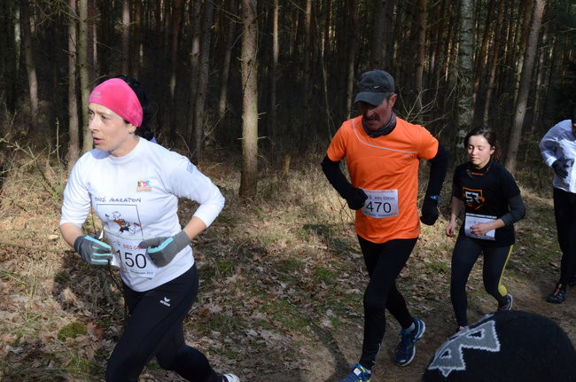 Rekord w grzybowskim lesie (zdjęcia)