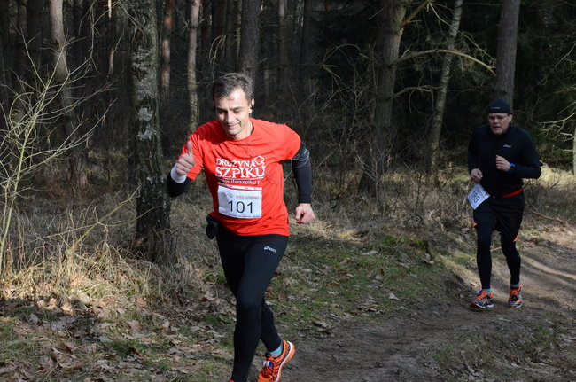 Rekord w grzybowskim lesie (zdjęcia)