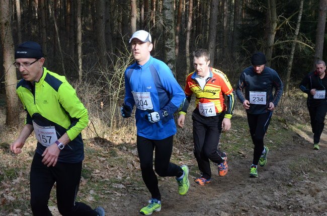 Rekord w grzybowskim lesie (zdjęcia)