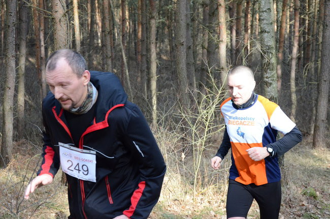 Rekord w grzybowskim lesie (zdjęcia)