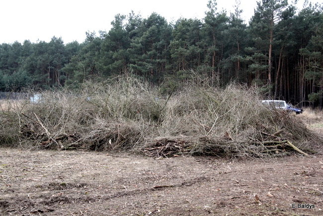 Stawiają kolejne nagrobki (zdjęcia)