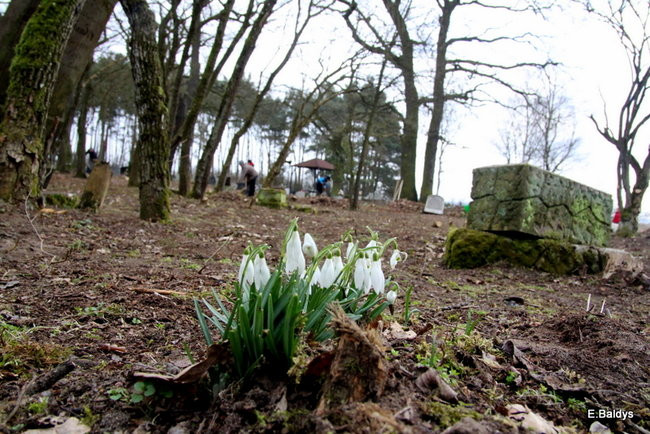 Stawiają kolejne nagrobki (zdjęcia)