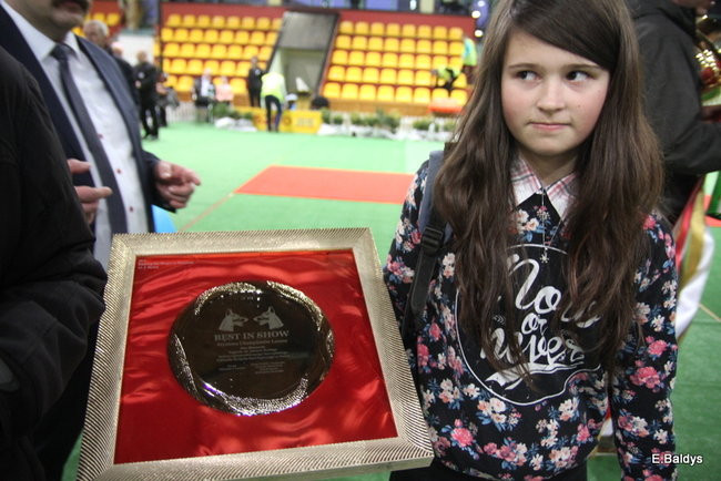 Pies gończy polski championem wystawy w Trapezie (zdjęcia)