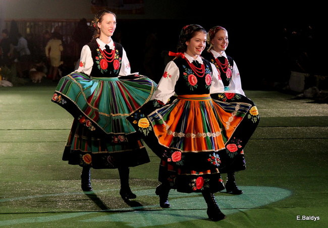 Pies gończy polski championem wystawy w Trapezie (zdjęcia)