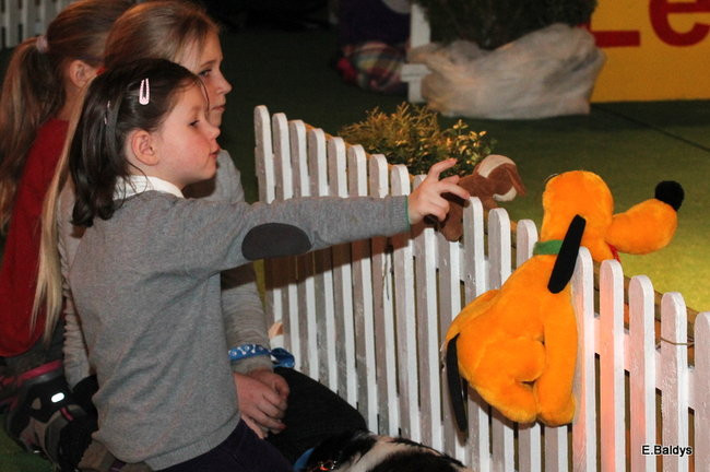 Pies gończy polski championem wystawy w Trapezie (zdjęcia)