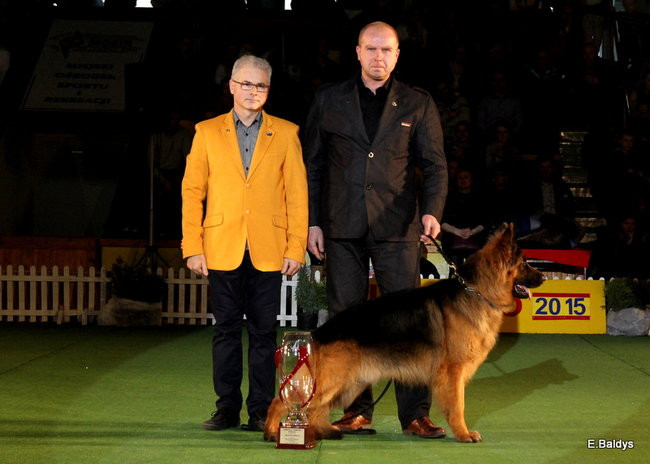 Pies gończy polski championem wystawy w Trapezie (zdjęcia)