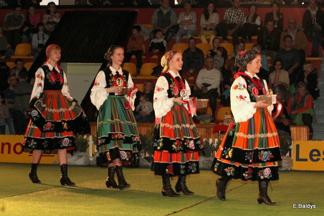 Pies gończy polski championem wystawy w Trapezie (zdjęcia)