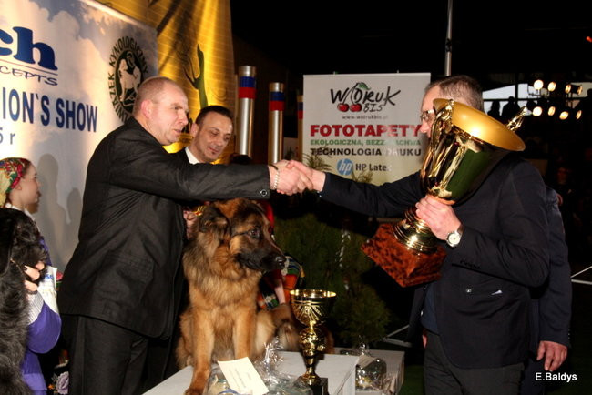 Pies gończy polski championem wystawy w Trapezie (zdjęcia)