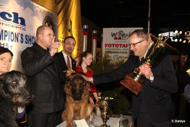 Pies gończy polski championem wystawy w Trapezie (zdjęcia)