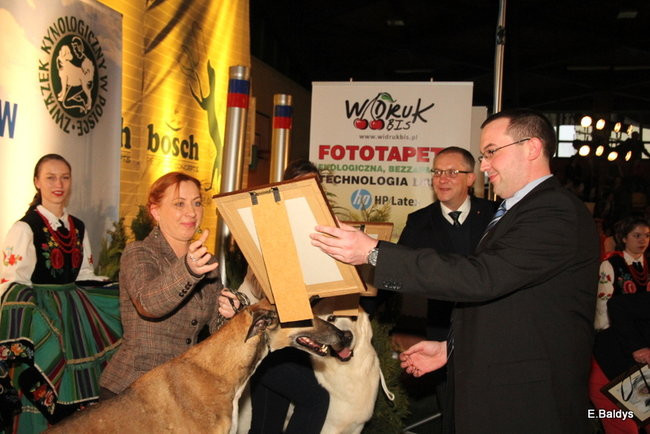 Pies gończy polski championem wystawy w Trapezie (zdjęcia)