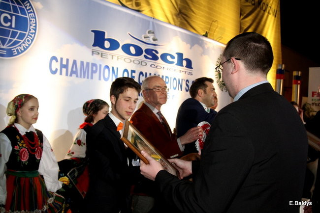 Pies gończy polski championem wystawy w Trapezie (zdjęcia)