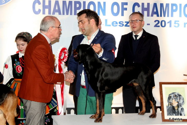 Pies gończy polski championem wystawy w Trapezie (zdjęcia)