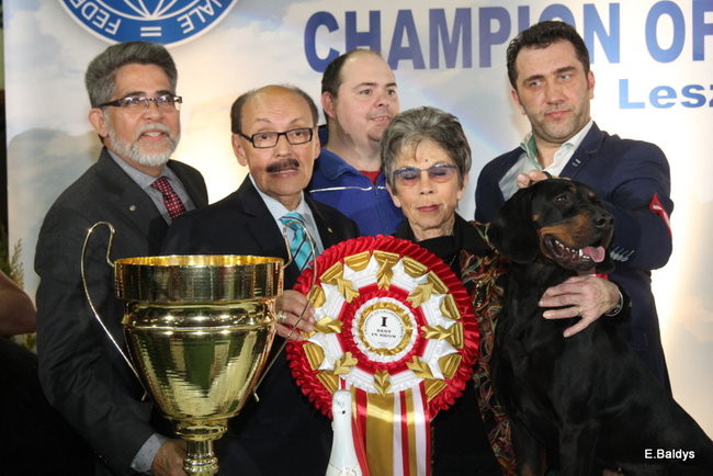 Pies gończy polski championem wystawy w Trapezie (zdjęcia)