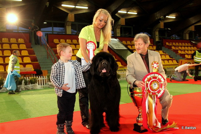 Pies gończy polski championem wystawy w Trapezie (zdjęcia)