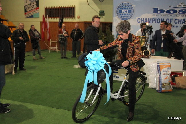 Pies gończy polski championem wystawy w Trapezie (zdjęcia)